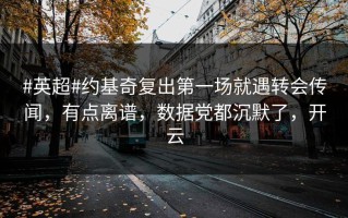 #英超#约基奇复出第一场就遇转会传闻，有点离谱，数据党都沉默了，开云