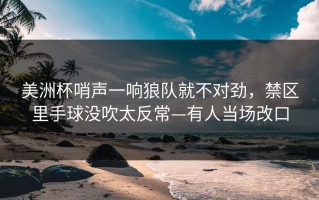 美洲杯哨声一响狼队就不对劲，禁区里手球没吹太反常—有人当场改口