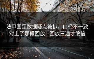 法甲国足数据疑点被扒，口径不一致对上了那段回放—回放三遍才敢信