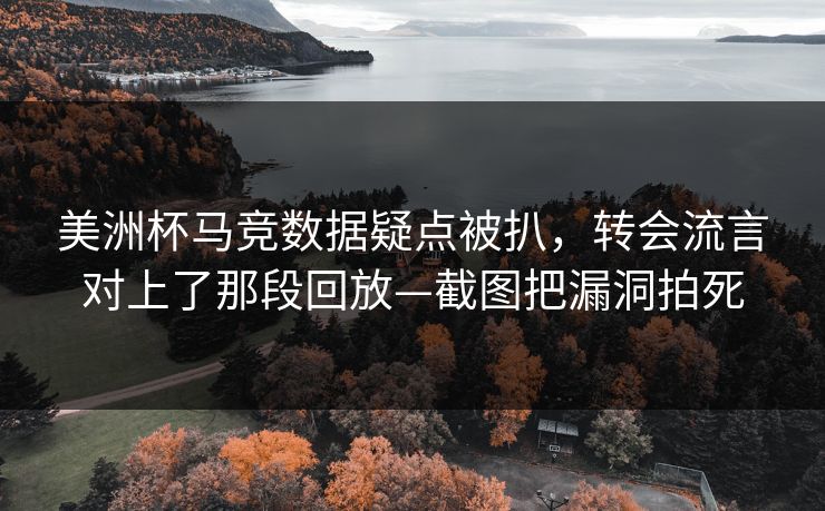 美洲杯马竞数据疑点被扒，转会流言对上了那段回放—截图把漏洞拍死-第1张图片-开云体育官网正版 - 安全综合平台